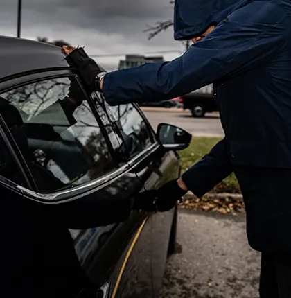 Comprehensive theft protection