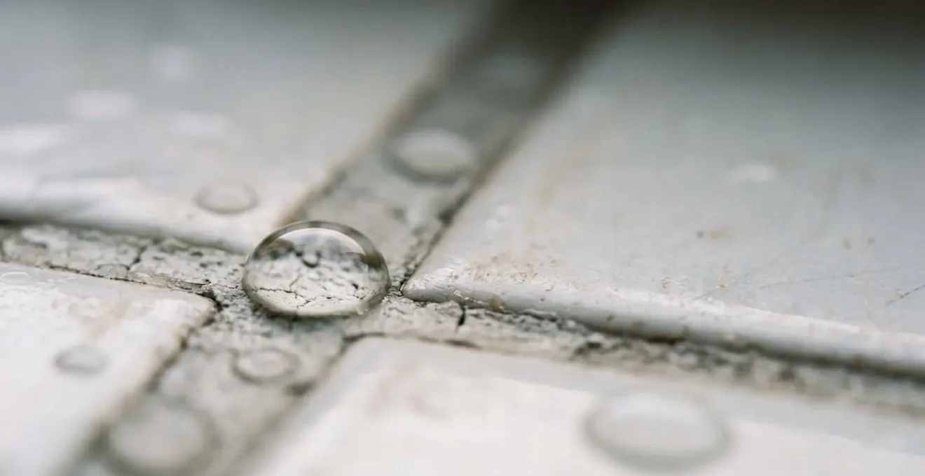 Professional close-up of water damage evidence documentation with natural lighting showing proper claim preparation