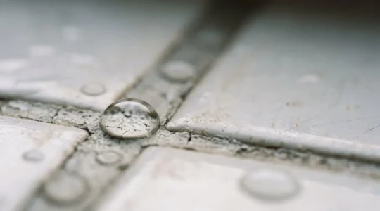 Professional close-up of water damage evidence documentation with natural lighting showing proper claim preparation