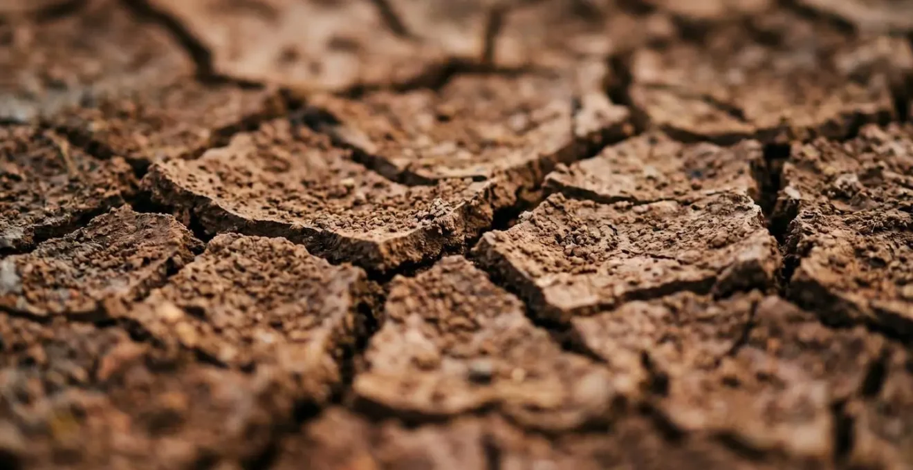Close-up of cracked clay soil texture showing extreme drying and shrinkage patterns